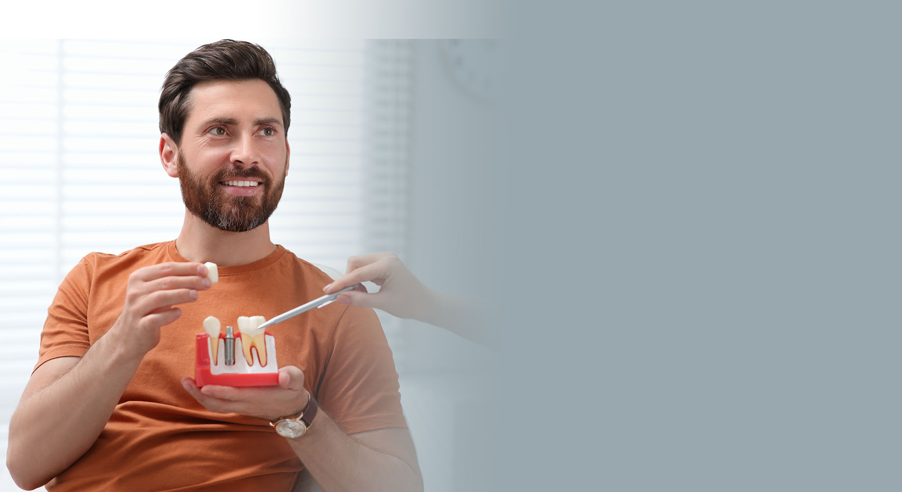 Dental Implants with Abutments and Crowns